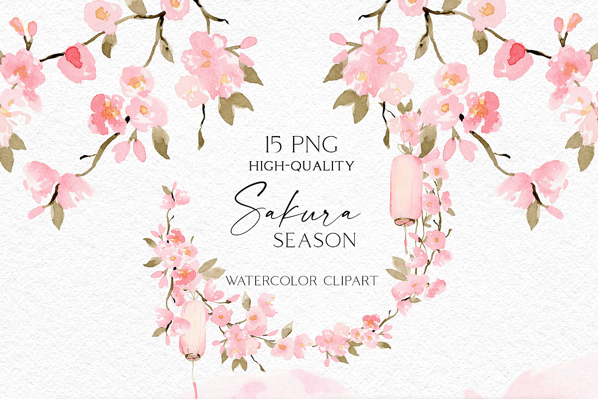 Sakura Season - Delicate watercolour, an Illustration by Olga Koelsch (Photo 6 of 11)