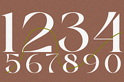 Clucks, a Serif Font by zaaintype (Thumbnail 9 of 10)