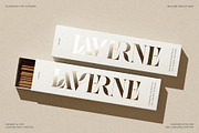 Raving Display Editorial Serif Font, a Serif Font by SilverStag Type Foundry (Thumbnail 4 of 30)