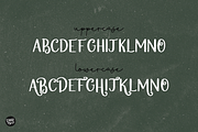 DASHER Farmhouse Christmas Font, a Font by Blush Font Co. (Thumbnail 8 of 9)