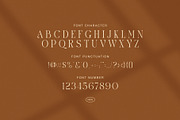 Candy – Elegant Modern Serif Font, a Serif Font by Graphicxell (Thumbnail 8 of 8)