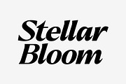 Callum Text Serif | 9 Font, a Serif Font by Positive TypeFoundry (Thumbnail 10 of 13)