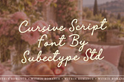 Within Romance - Cursive Script Font, a Script Font by Subectype Studio (Thumbnail 14 of 15)