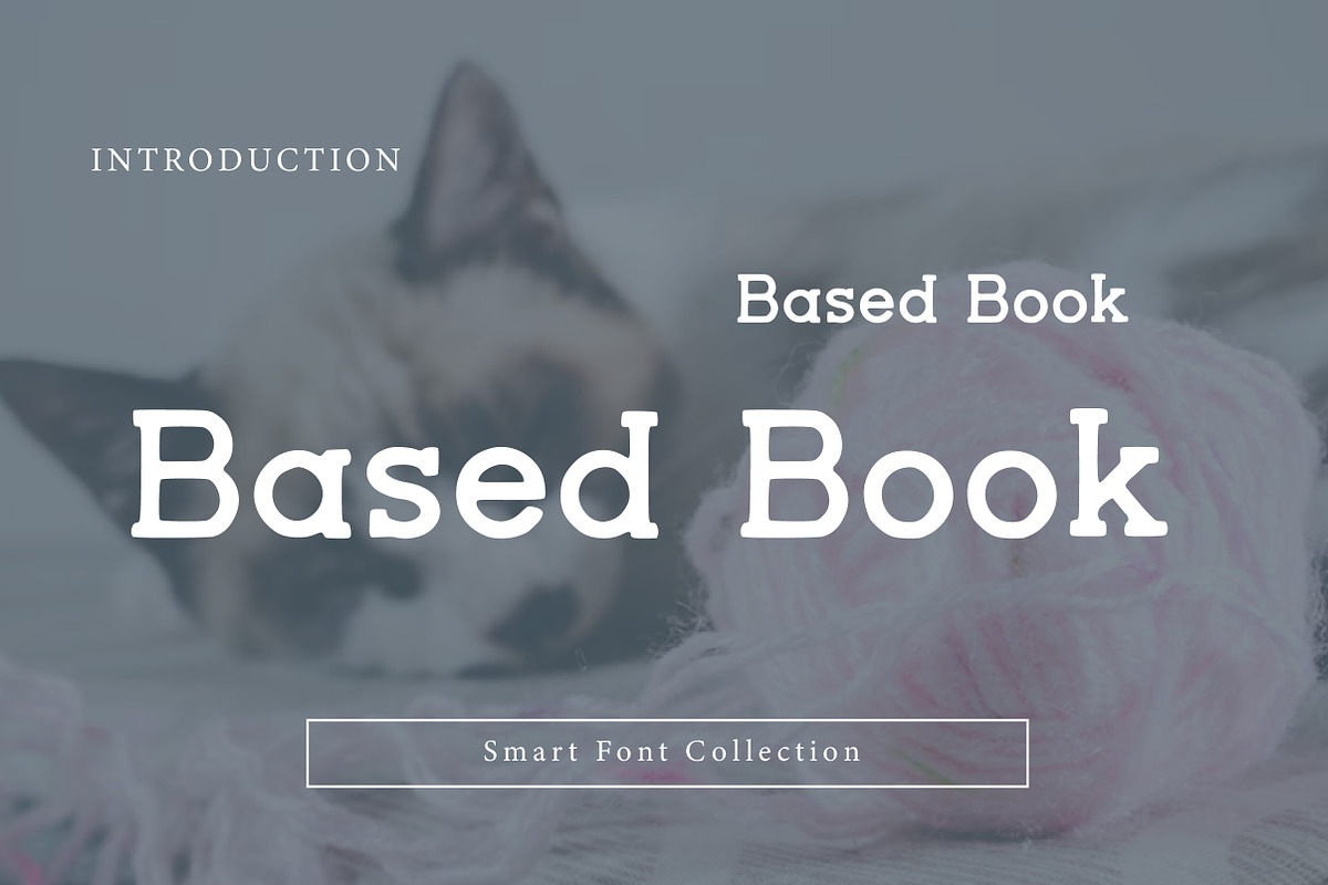 Based book, a Sans Serif Font by Wow Magic (Photo 1 of 3)