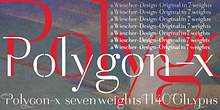 Polygon-X