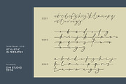 Sunset Heaven, a Serif Font by din-studio.com (Thumbnail 6 of 15)