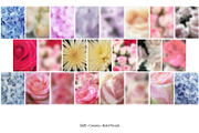 65 Soft Bloom Blur Backgrounds., a Background Graphic by TaPilipa (Thumbnail 7 of 9)