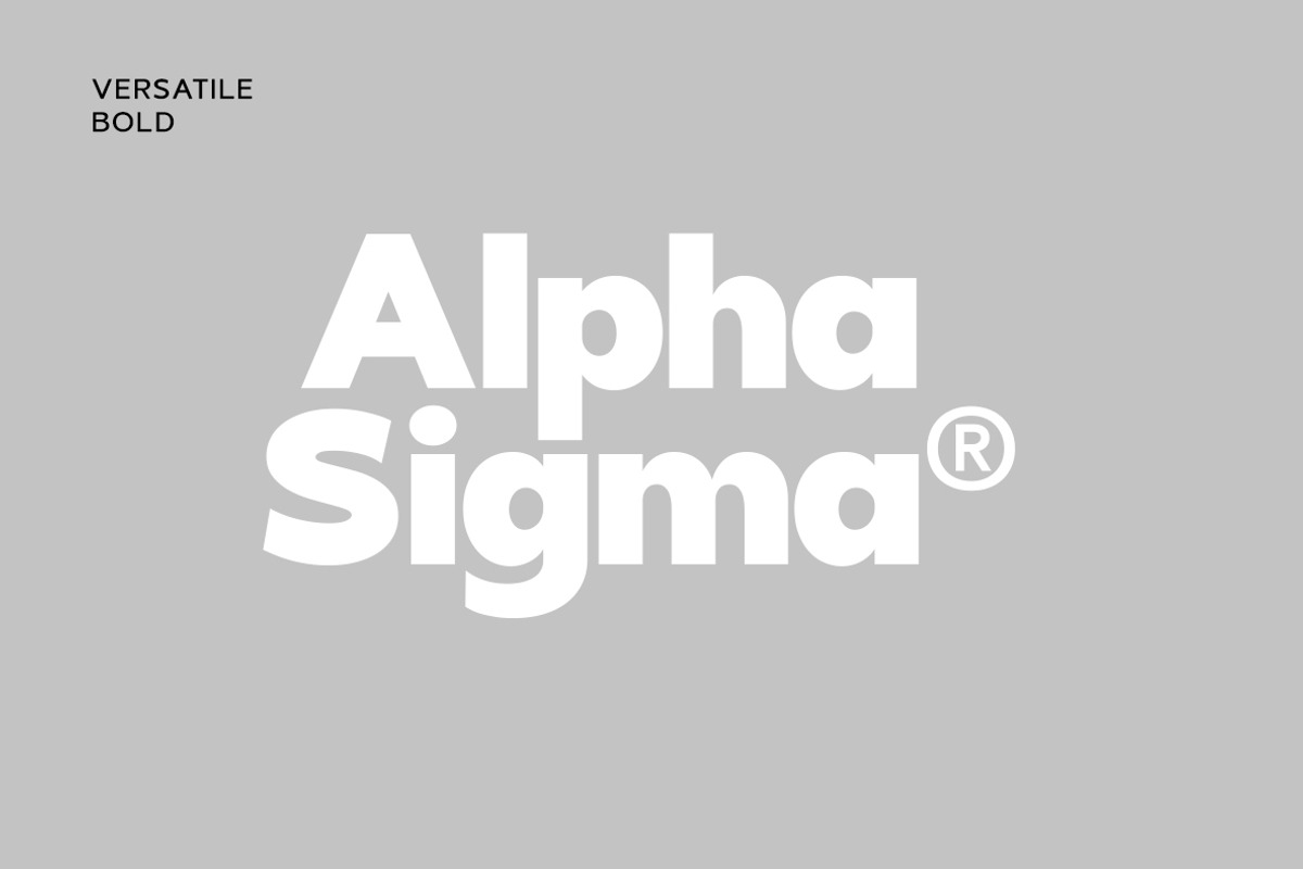 VERSATILE | Geometric Family, a Sans Serif Font by InkwellTypeCo (Photo 4 of 19)