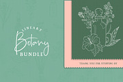 BOTANY BUNDLE - 6in1, a Food Illustration by amber&ink (Thumbnail 19 of 19)