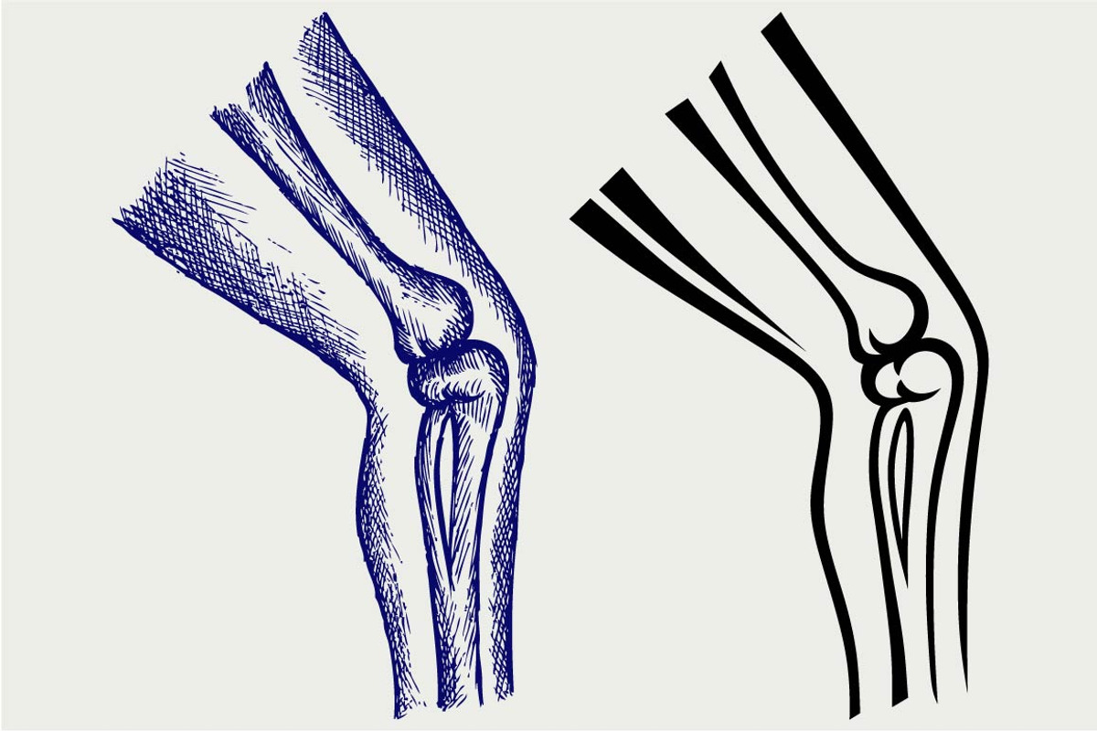 Human leg bones SVG, an Outline Icon by LineworkStock