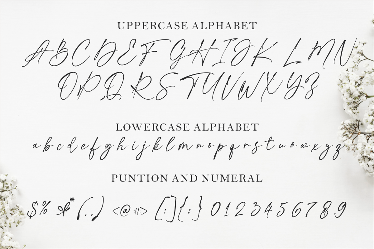 Practice Script, a Script Font by TypeMakers (Photo 5 of 9)