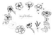 Black and White Botanical Collection, an Illustration by TanataDesign (Thumbnail 2 of 8)