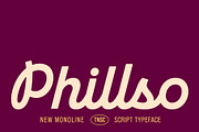 TNSC Phillso - Monoline Script, a Script Font by The Native Saint Club (Thumbnail 1 of 14)