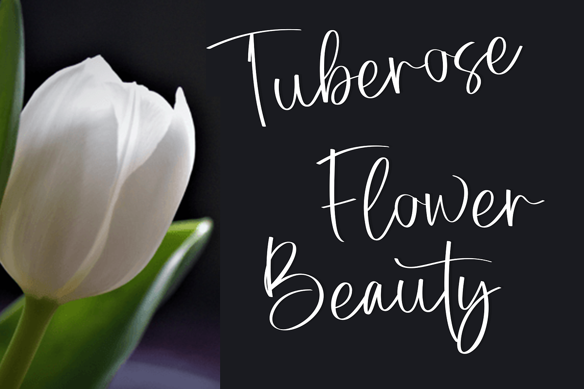 Wishday Modern, a Handwritten Font by InermediaSTUDIO (Photo 6 of 8)