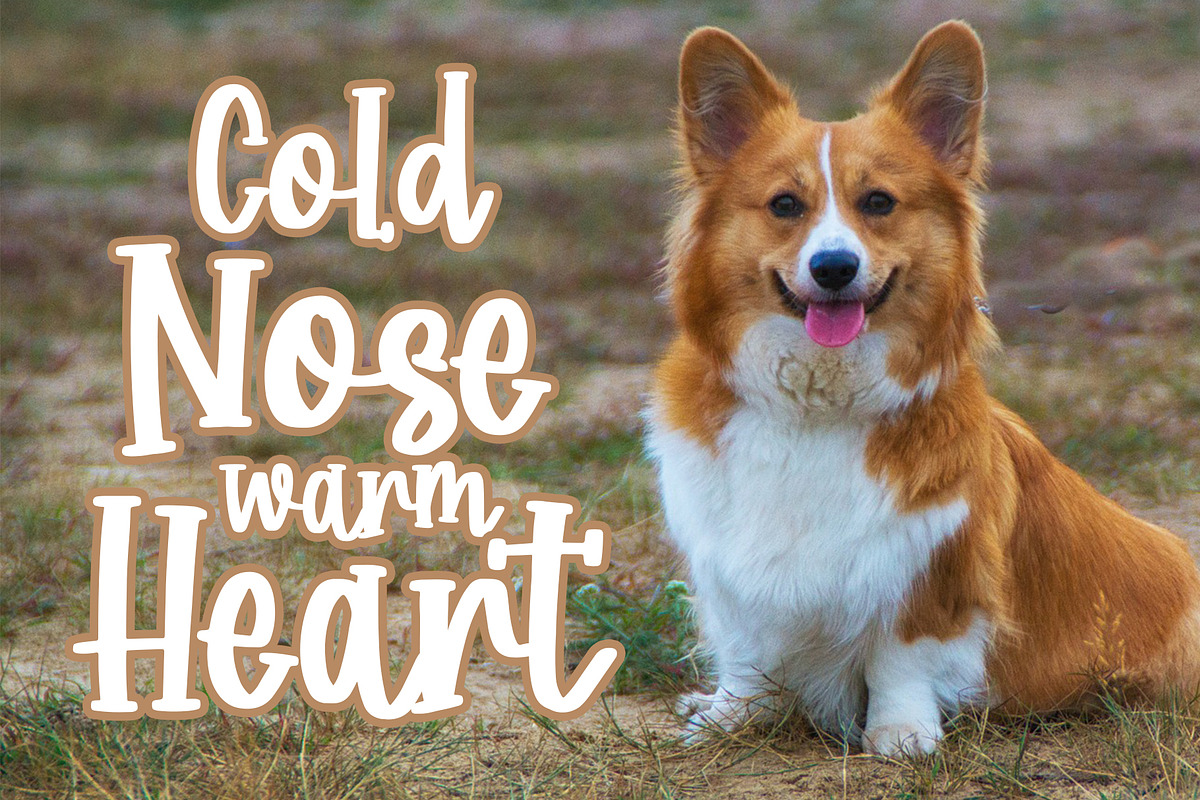Corgi Puppy - Handwritten Font preview 2