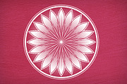 260 Circular Shapes - Vector-Bundle, an Object Graphic by Damien (Thumbnail 8 of 15)