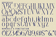 Considered Connected - Elegant Serif, a Serif Font by 177Studio (Thumbnail 7 of 8)