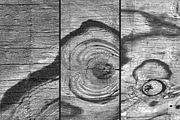 GSTC - Wood grain, a Texture Graphic by The Shop (Thumbnail 22 of 48)