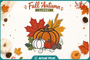 Fall Autumn Clipart Bundle, a Seasonal Illustration by Actual Pixel (Thumbnail 4 of 21)