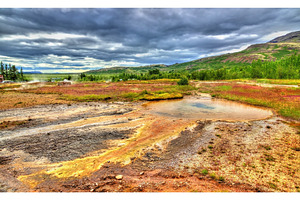 Geothermally active haukadalur valley in iceland featuring iceland, hot, and, a Nature Photo by Leonid Andronov