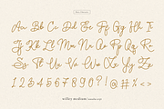 Willey Medium | Monoline Script Font, a Script Font by Denustudios (Thumbnail 14 of 16)