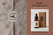Wild Herbarium — Botanical Folk Art, an Object Illustration by happpydesign (Thumbnail 12 of 14)