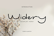 Widery Display Font, a Handwritten Font by Fikry Alfatih (Thumbnail 1 of 9)