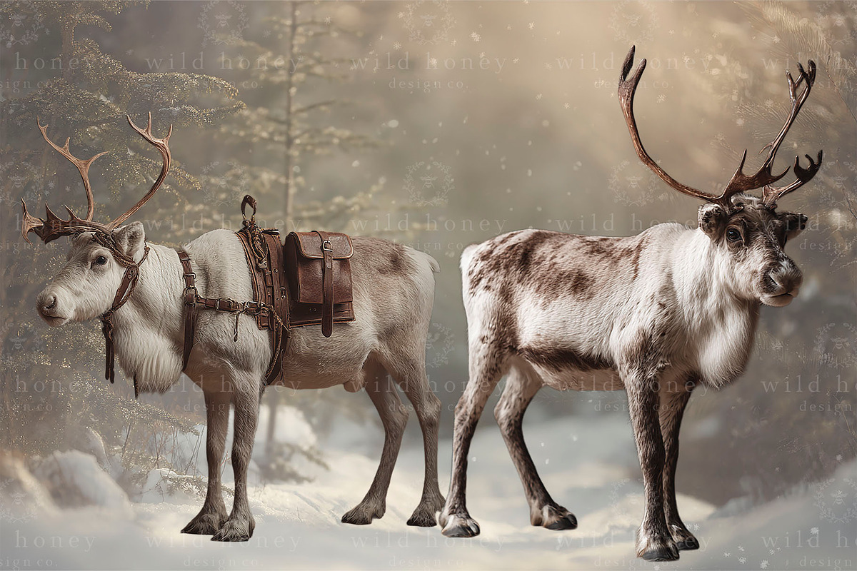 Reindeer PNG Overlays, an Object Graphic by Wild Honey Design Co. (Photo 7 of 7)