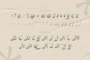 Vibrants — Modern Calligraphy Script, a Script Font by Krismagraph (Thumbnail 8 of 10)