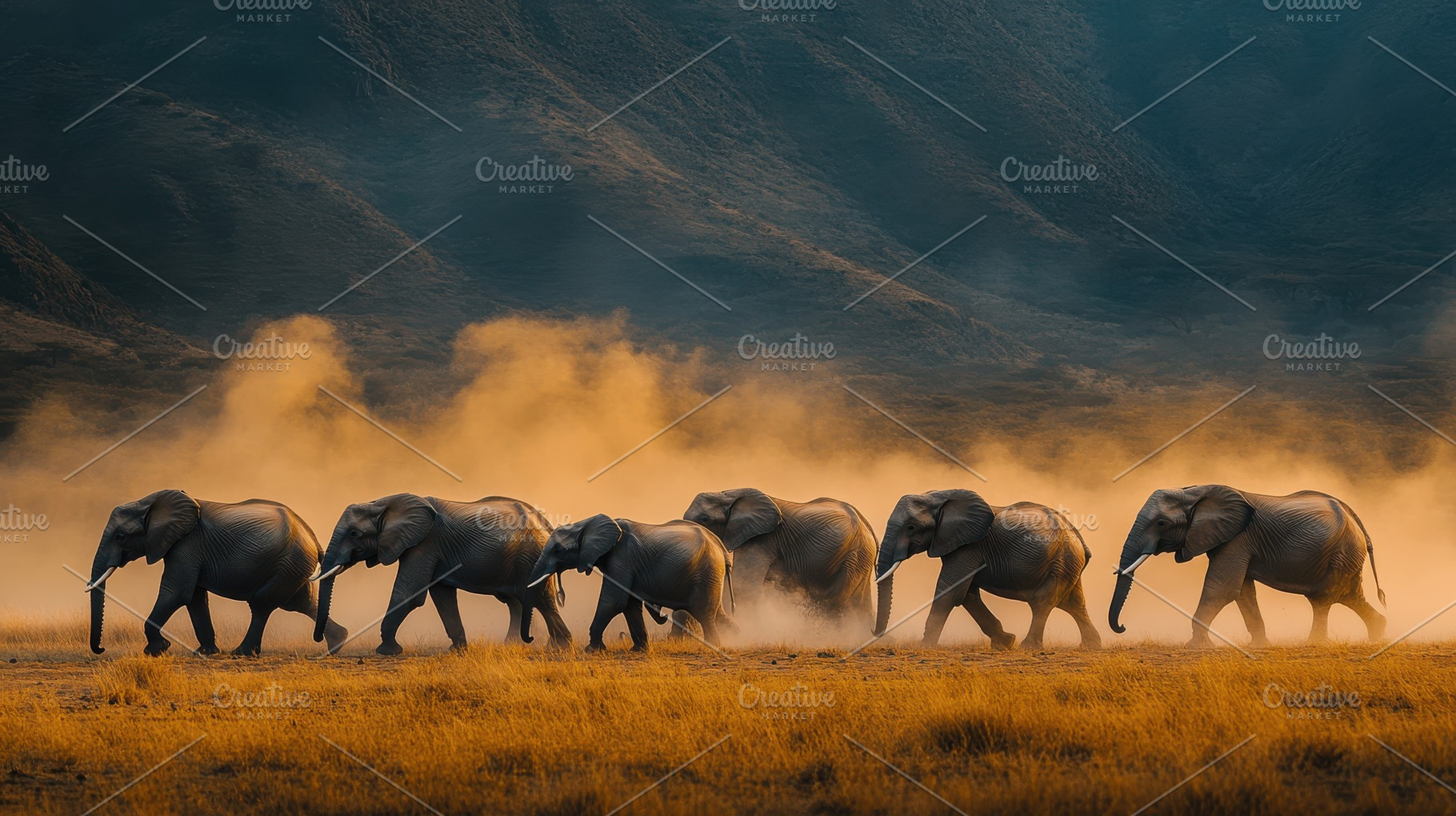 Elephant Family Journey: A herd trav, an Animal Photo by Pixeness Studio