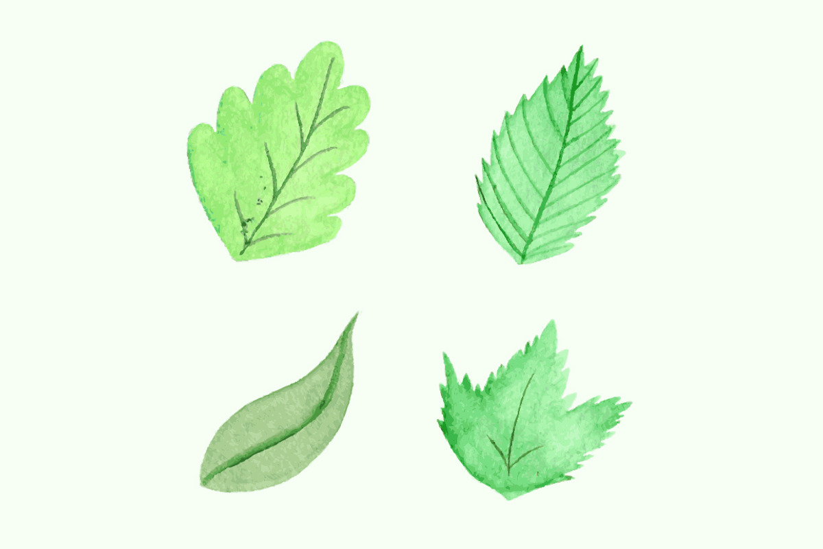 Vector watercolor natural set, a Graphic by lycka (Photo 4 of 4)