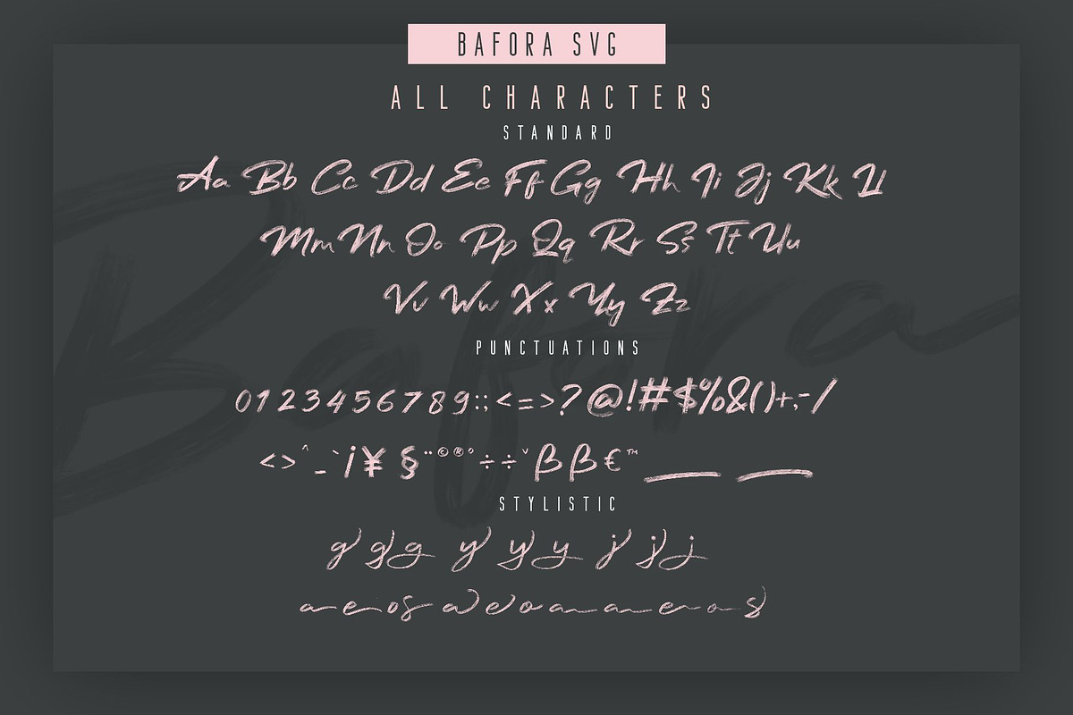 Bafora - SVG Font + Bonus, a Script Font by Craft Supply Co. (Photo 10 of 15)