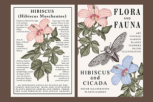 Set Flowers Hibiscus Cicada Card