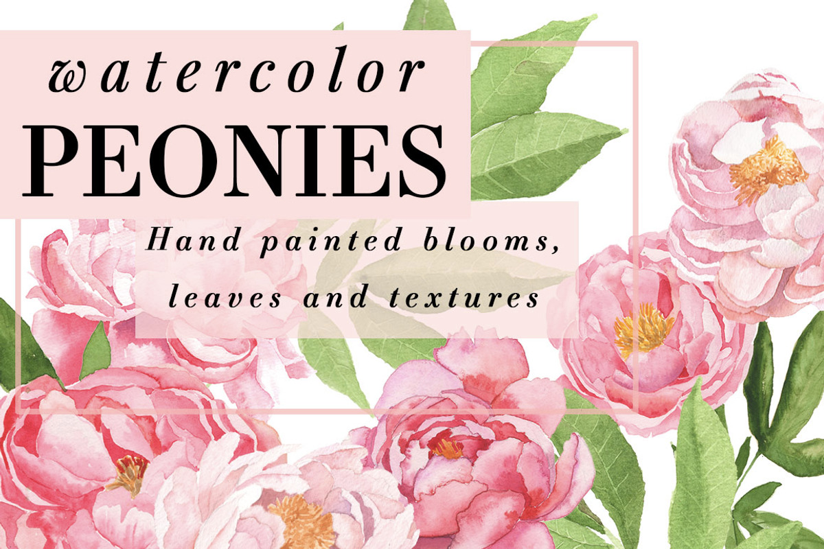 Watercolor Peonies, a Background Graphic by Instinct Design Co (Photo 1 of 3)