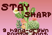 Pointy Serif, a Handwritten Font by Eryn Rose Design (Thumbnail 3 of 18)