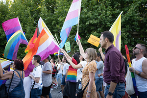Group of homosexual people holding rainbow flags at pride parade, a Person Photo by andreonegin market