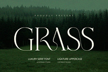 Grass - Serif Font