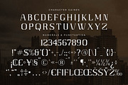 Gaines Display Serif Font, a Serif Font by Storytype Studio (Thumbnail 13 of 14)