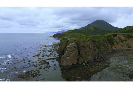 Rocky coast with algae after storm, a Nature Photo by Media Whale Stock