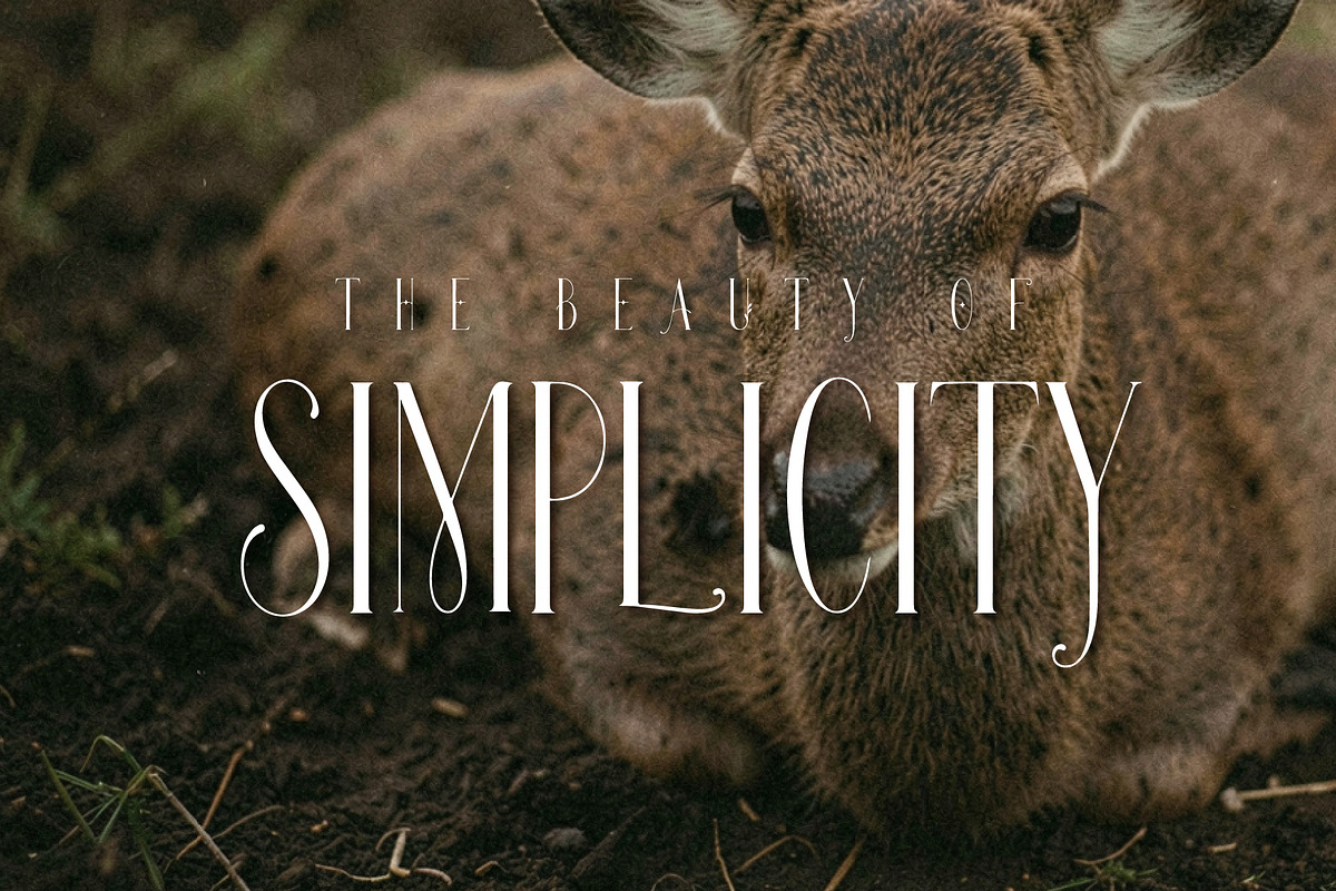 Qavirats - Tall Refined Luxury, a Serif Font by HypeWorksCo (Photo 8 of 20)