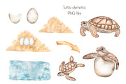 Watercolor Life Cycle Set, an Education Illustration by MayaNavits (Thumbnail 3 of 11)
