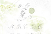 Efelious - floral monogram set, an Object Graphic by Euonia Meraki (Thumbnail 5 of 12)