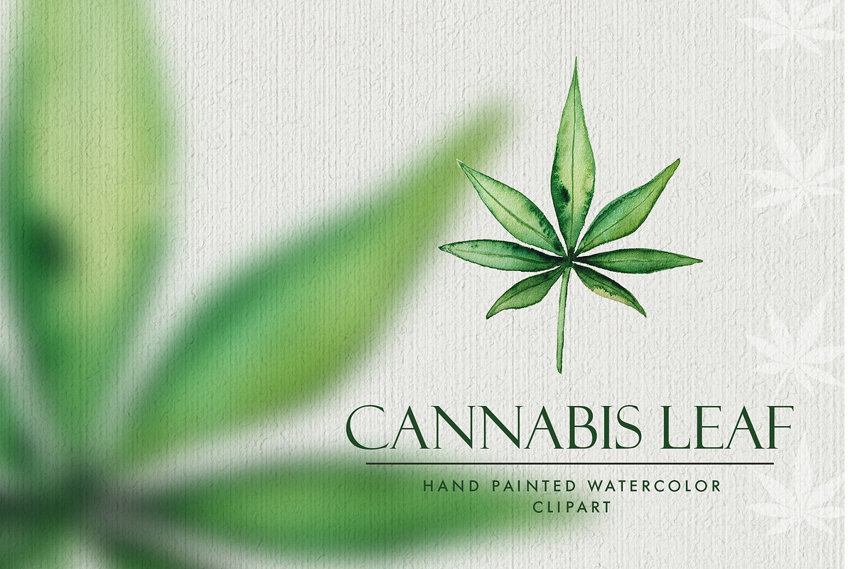 Watercolor Marijuana Leaf, an Object Graphic by Jeanina Vlad (Photo 1 of 2)