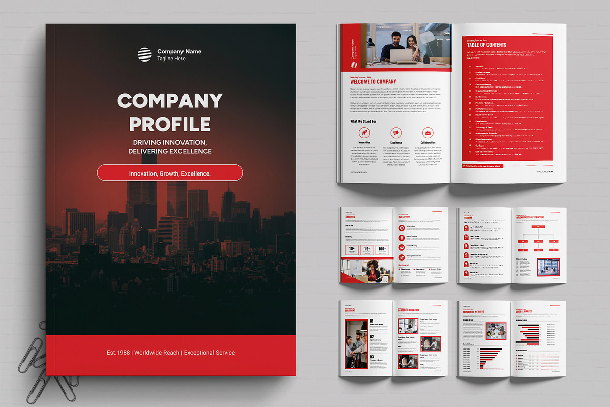 Company Profile for Clients