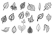 Hand Drawn  Fall Leaves Clipart Bund, an Illustration by Daily.Designs (Thumbnail 3 of 3)