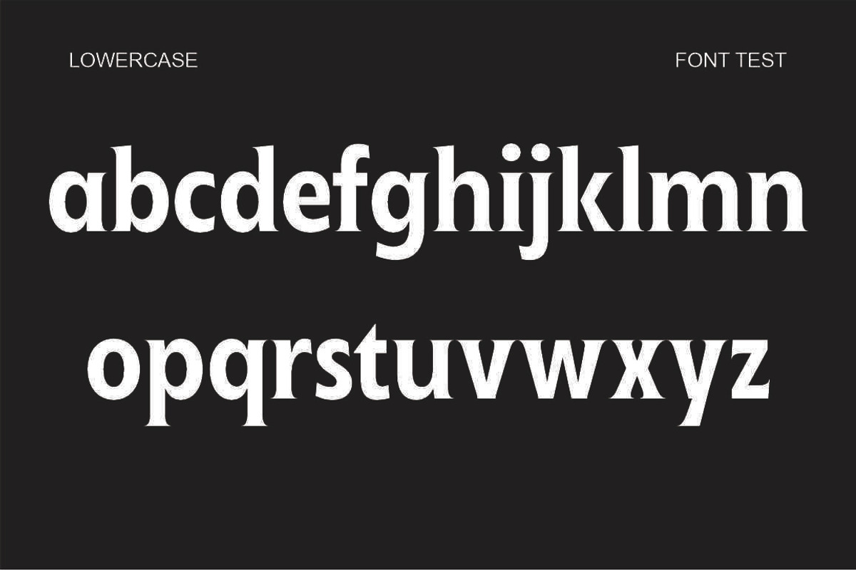 Ginfitanle, a Serif Font by studiobasic (Photo 7 of 11)