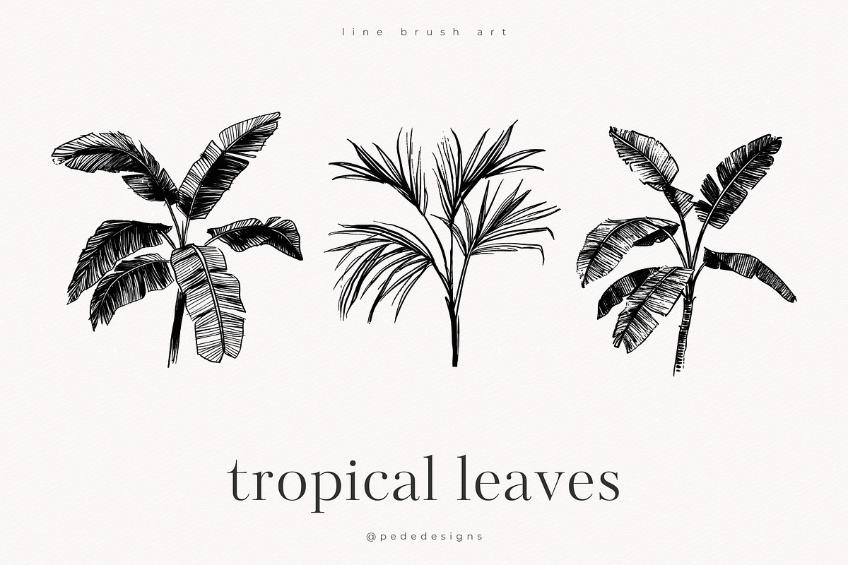 Tropical Leaves, a Decorative Illustration by PeDe Designs (Photo 4 of 7)