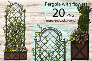 Pergola with flowers