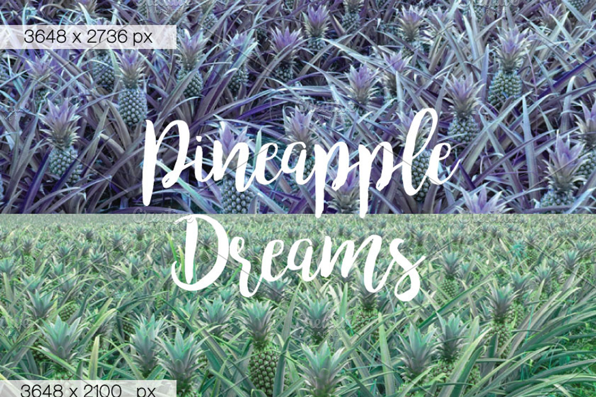 Pineapple Compilation, an Illustration by Zelri (Photo 4 of 5)