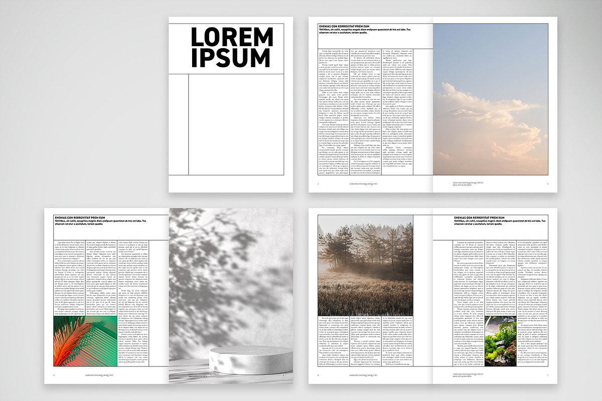 Modular Grid Magazine Layout preview 2
